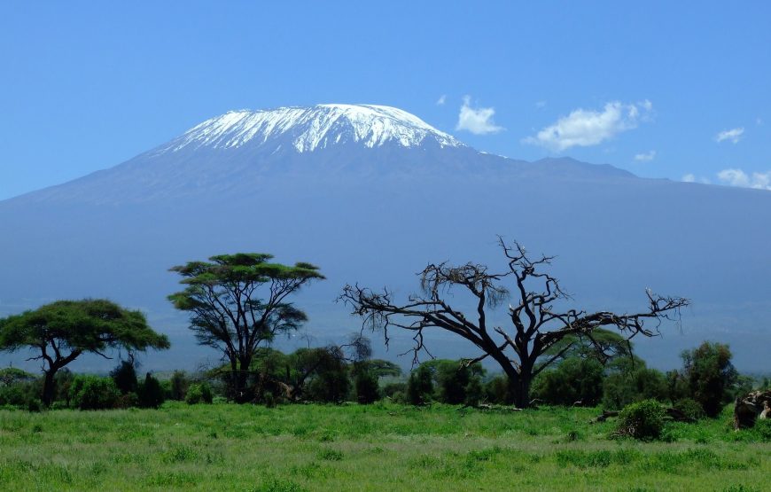 6 Day Mt. Kilimanjaro Trek-Marangu Route