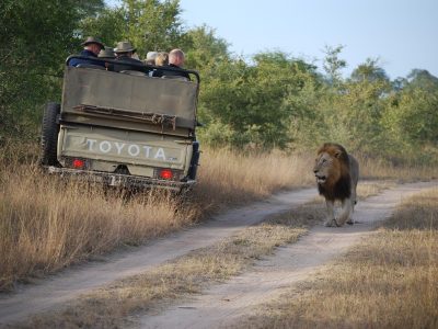 Safari vehicle in Mara Naboisho Conservancy, offering exclusive wildlife encounters and hidden safari gems in Kenya.