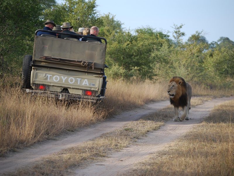4 Day Amboseli-Tsavo West-Taita Hills Safari