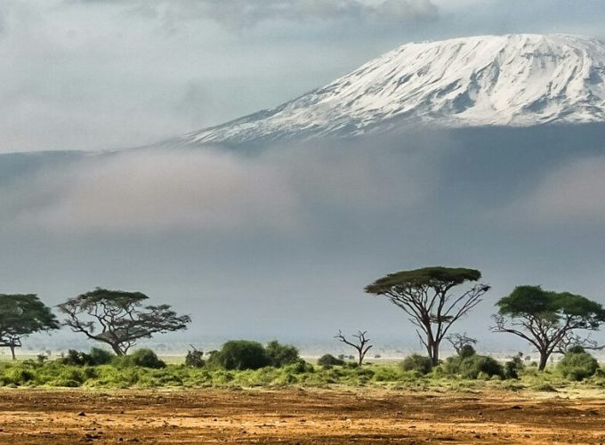 7 Day Mt. Kilimanjaro Trek-Lemosho Route