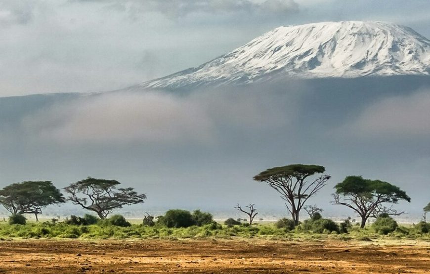 7 Day Mt. Kilimanjaro Trek-Lemosho Route