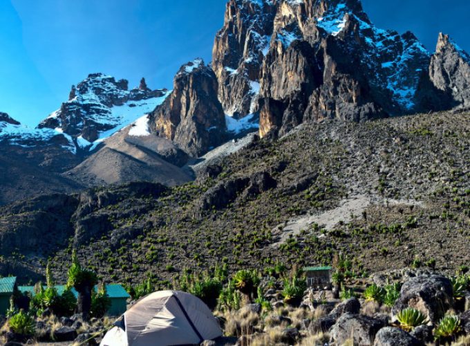 Mount Kenya trekking trails surrounded by lush forests and mountain wildlife