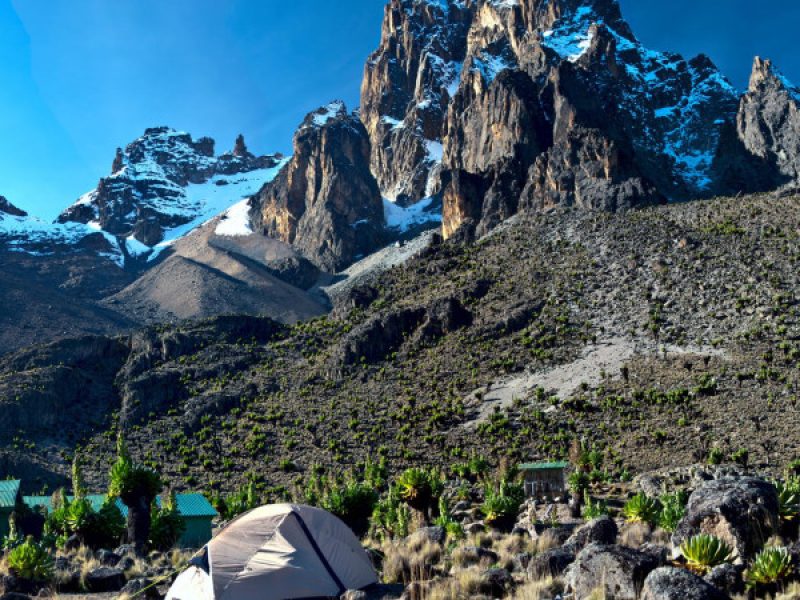 Mount Kenya trekking trails surrounded by lush forests and mountain wildlife